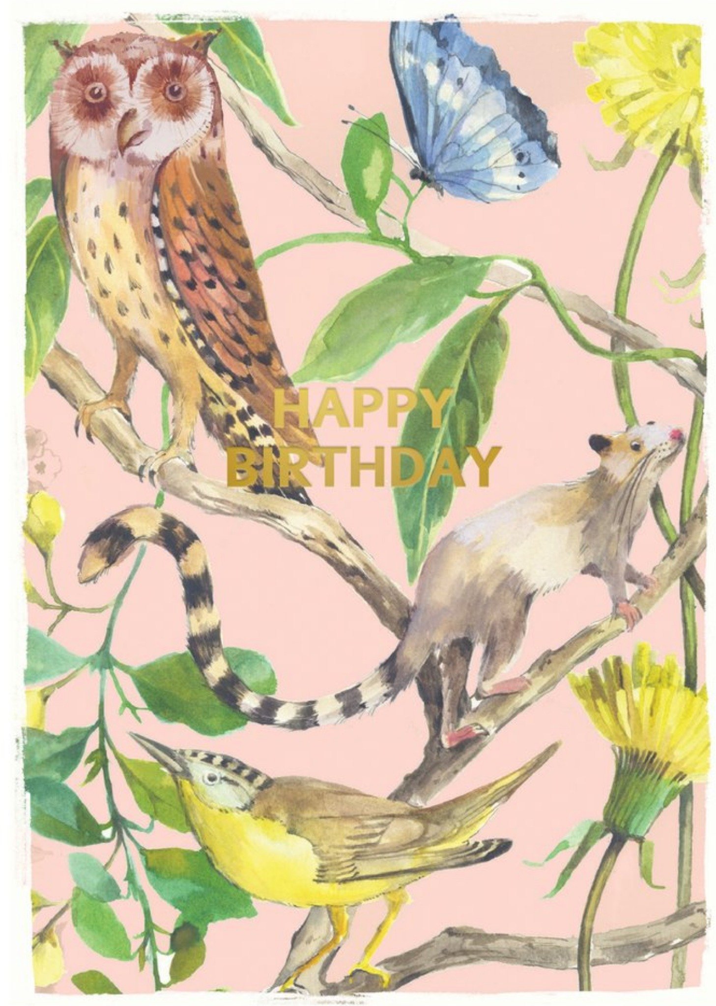 Sooshichacha Owl Bird Butterfly Animal Birthday Card, Large
