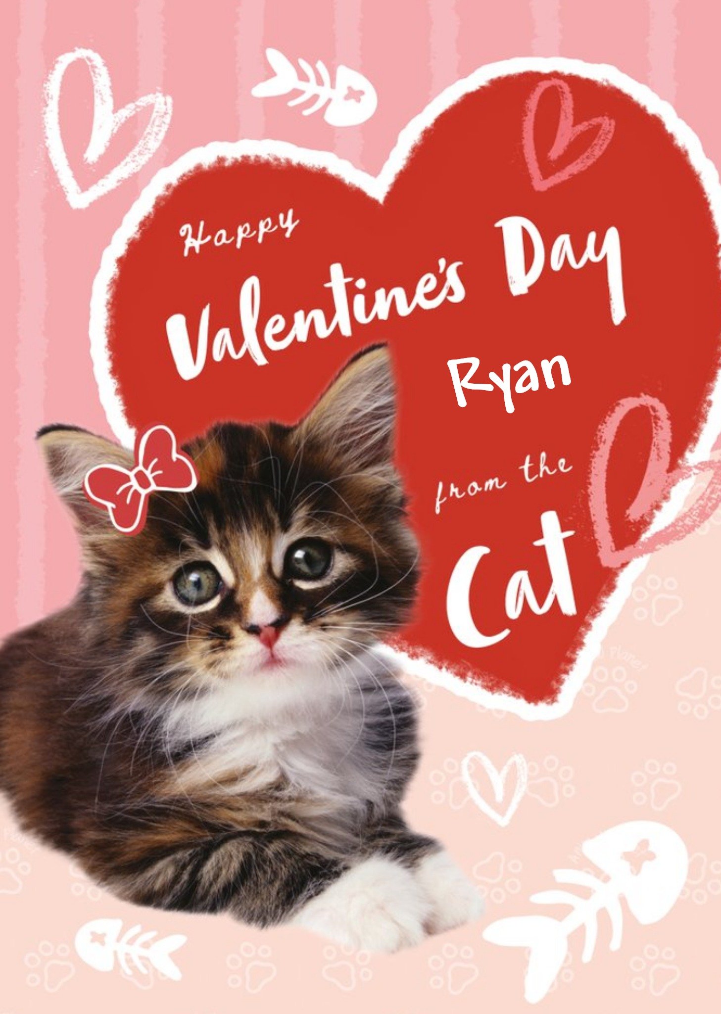 Animal Planet From The Cat Valentine's Day Card Ecard