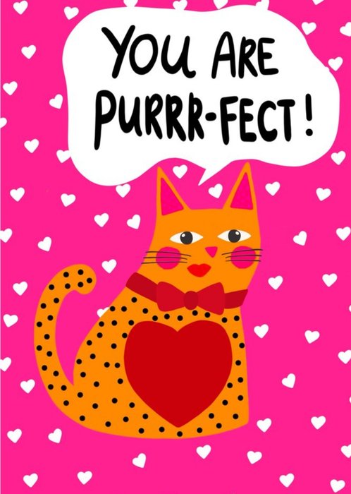 You Are Purrr-fect Illustrated Cat Card