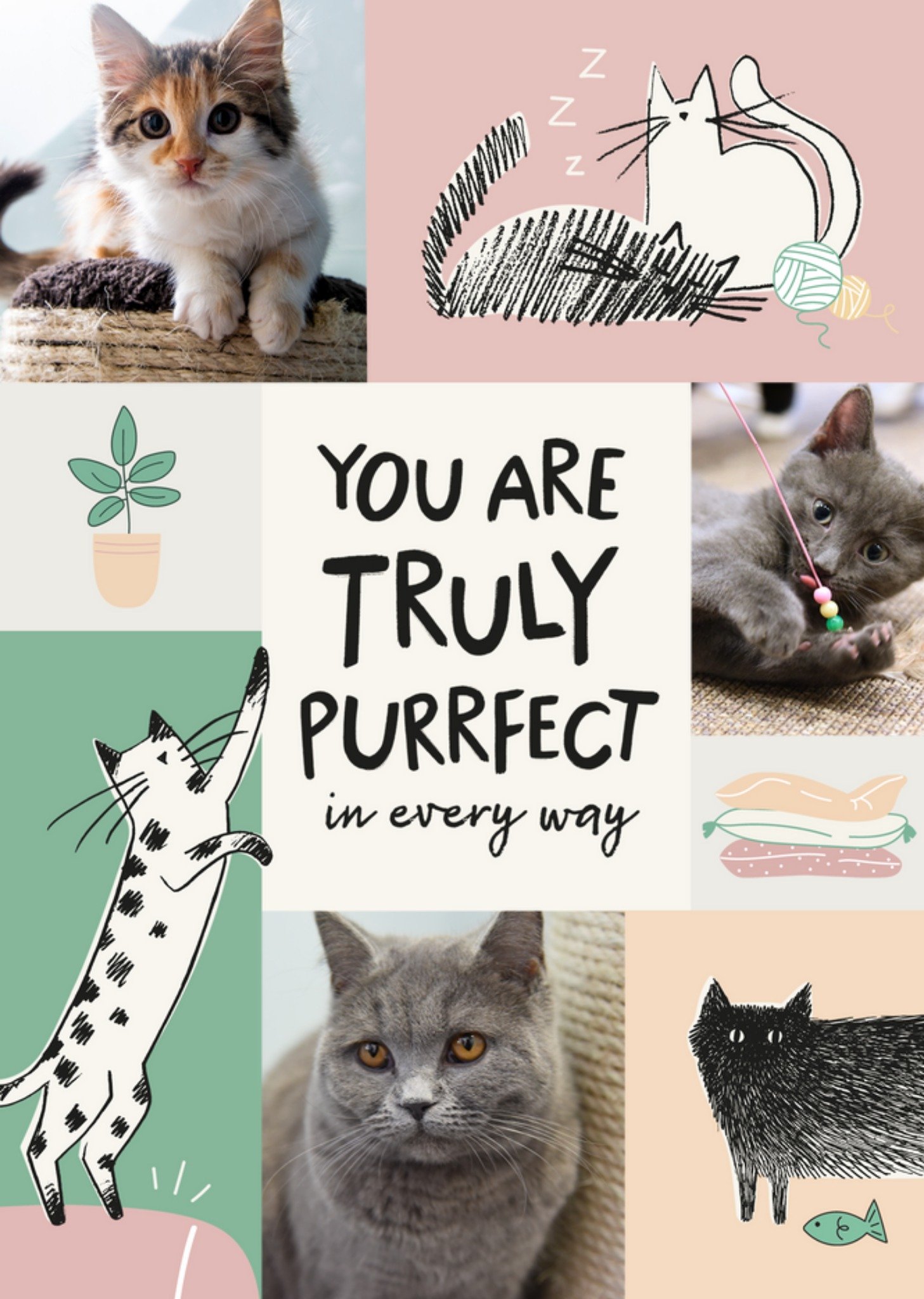 Moonpig Battersea You Are Truely Purrfect In Every Way Cute Illustrated Cats Photo Upload Card, Larg