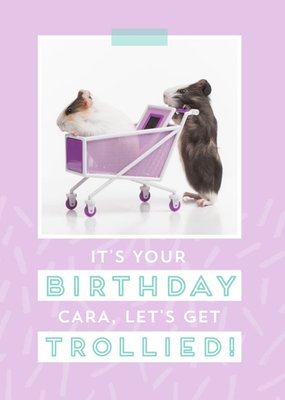 Let's Get Trollied - Guinea Pig - Birthday Card