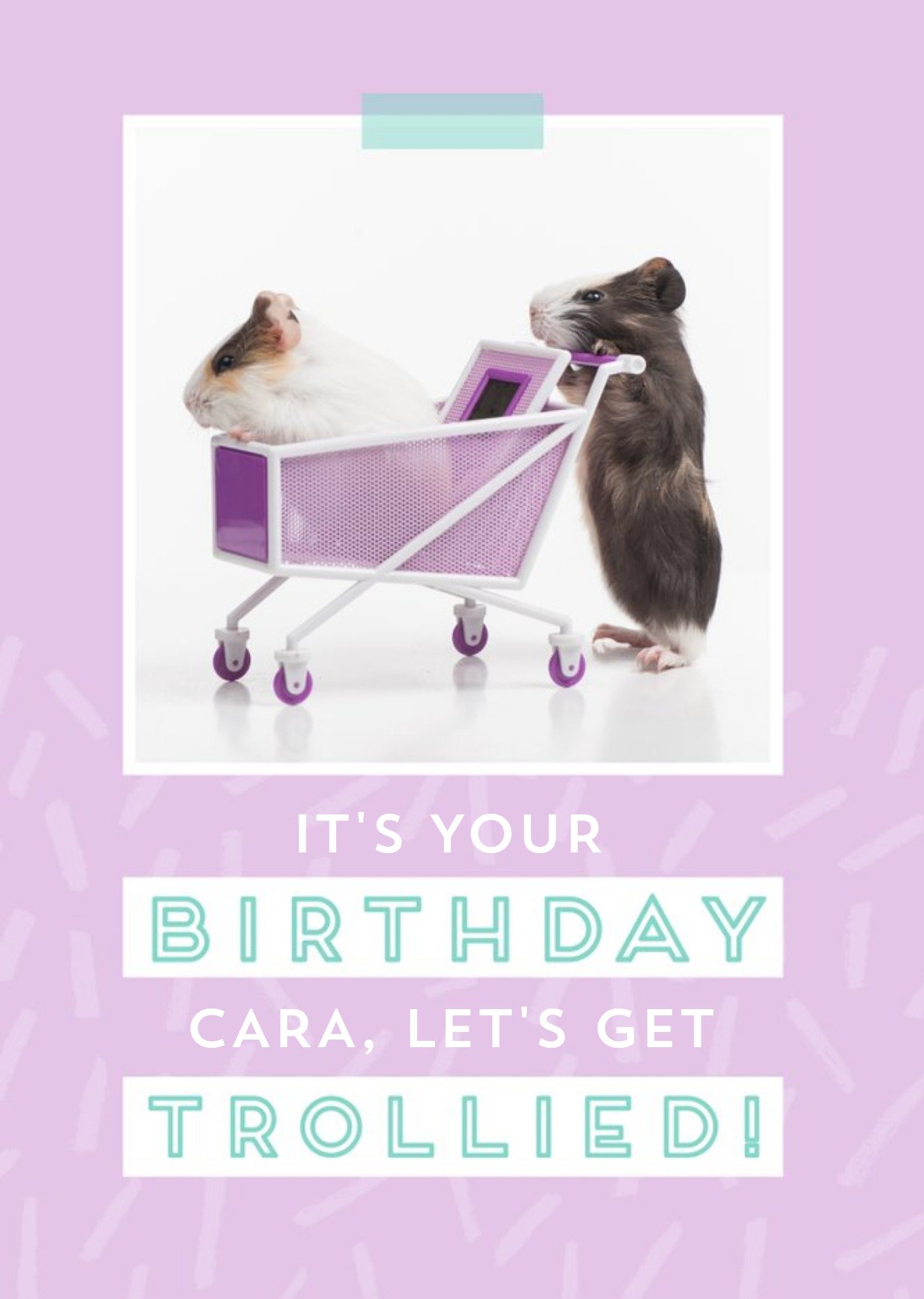 Moonpig Let's Get Trollied - Guinea Pig - Birthday Card, Large