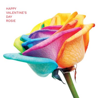 Modern Photographic Rainbow Coloured Rose Happy Valentines Card