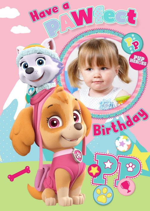 Paw patrol on sale girl birthday