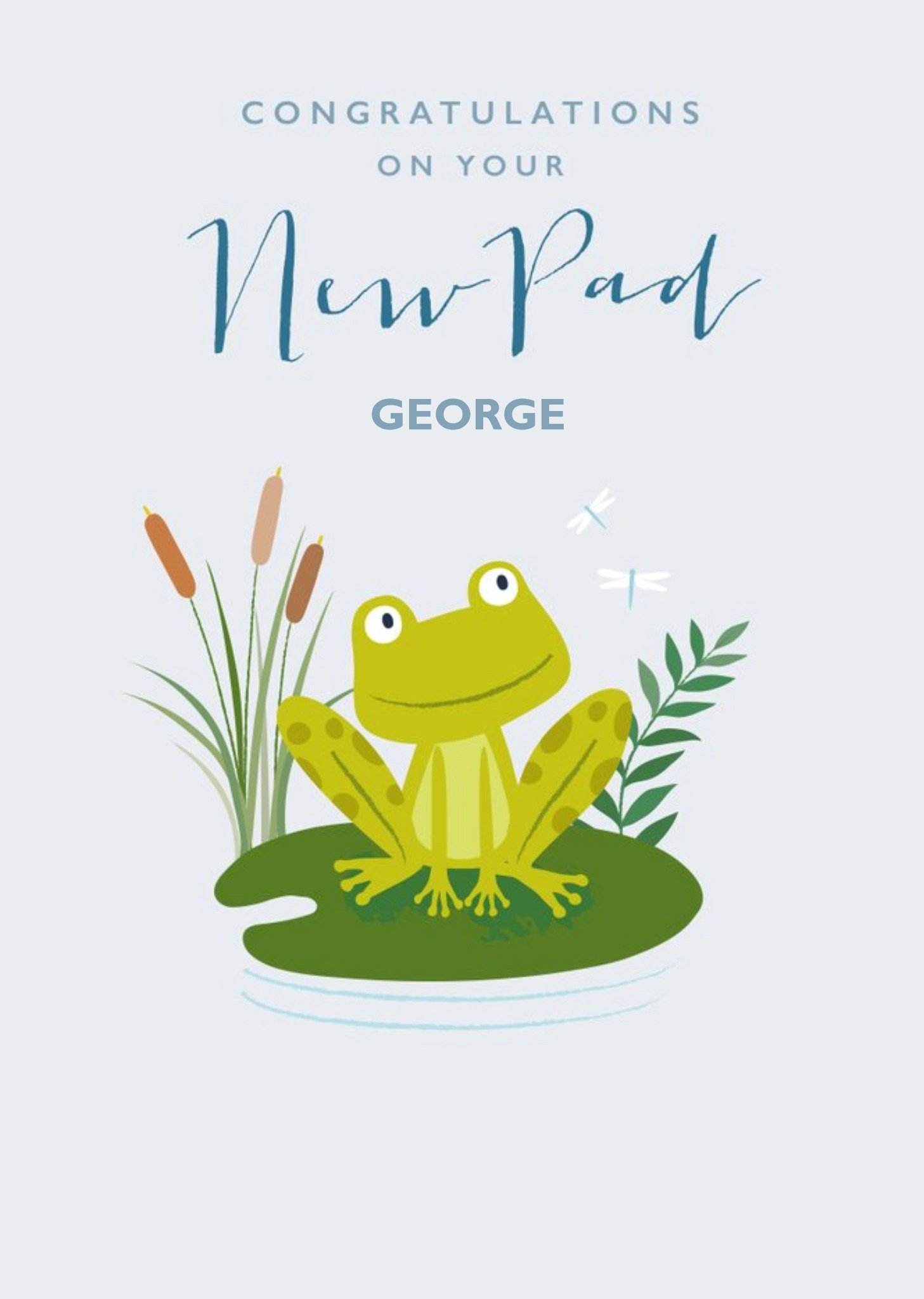 Moonpig Blue Cute Frog New Pad Card Ecard