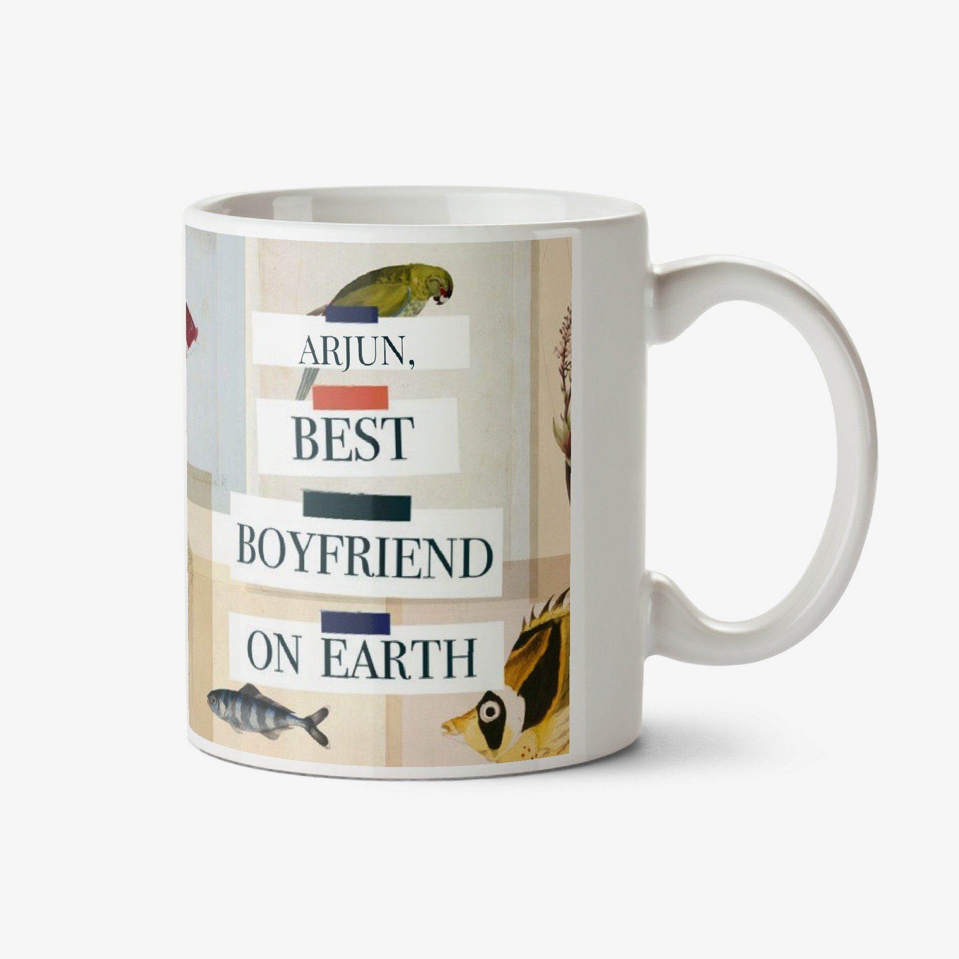 The Natural History Museum Natural History Museum Best Boyfriend On Earth Mug Ceramic Mug