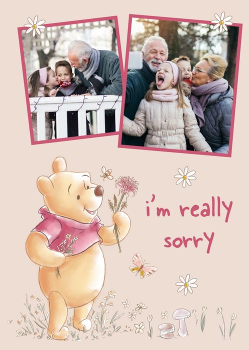 Winnie The Pooh Illustration Sorry Photo Upload Card