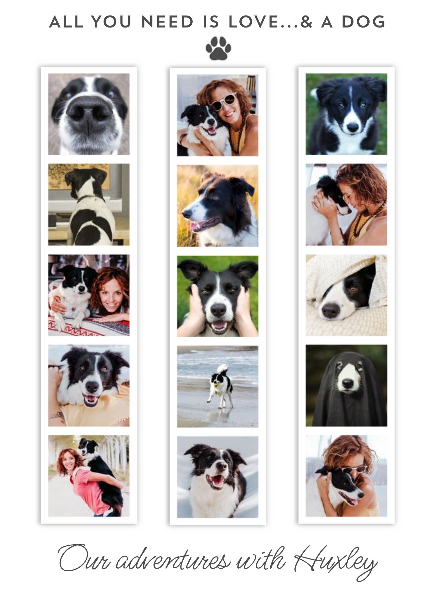 Moonpig 15 Photo Booth Strips All You Need Is Love And A Dog Frameable Card, Large