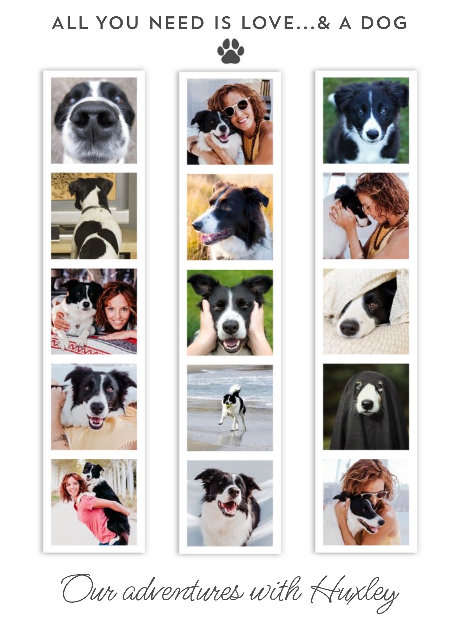 15 Photo Booth Strips All You Need Is Love And A Dog Frameable Card Ecard