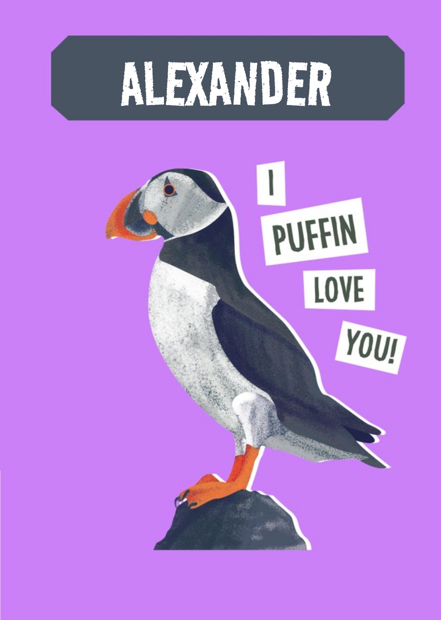 The Natural History Museum Natural History Museum I Puffin Love You Valentine's Day Card, Large