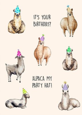 Poppy and Mabel It's Your Birthday? Alpaca My Party Hat Birthday Card