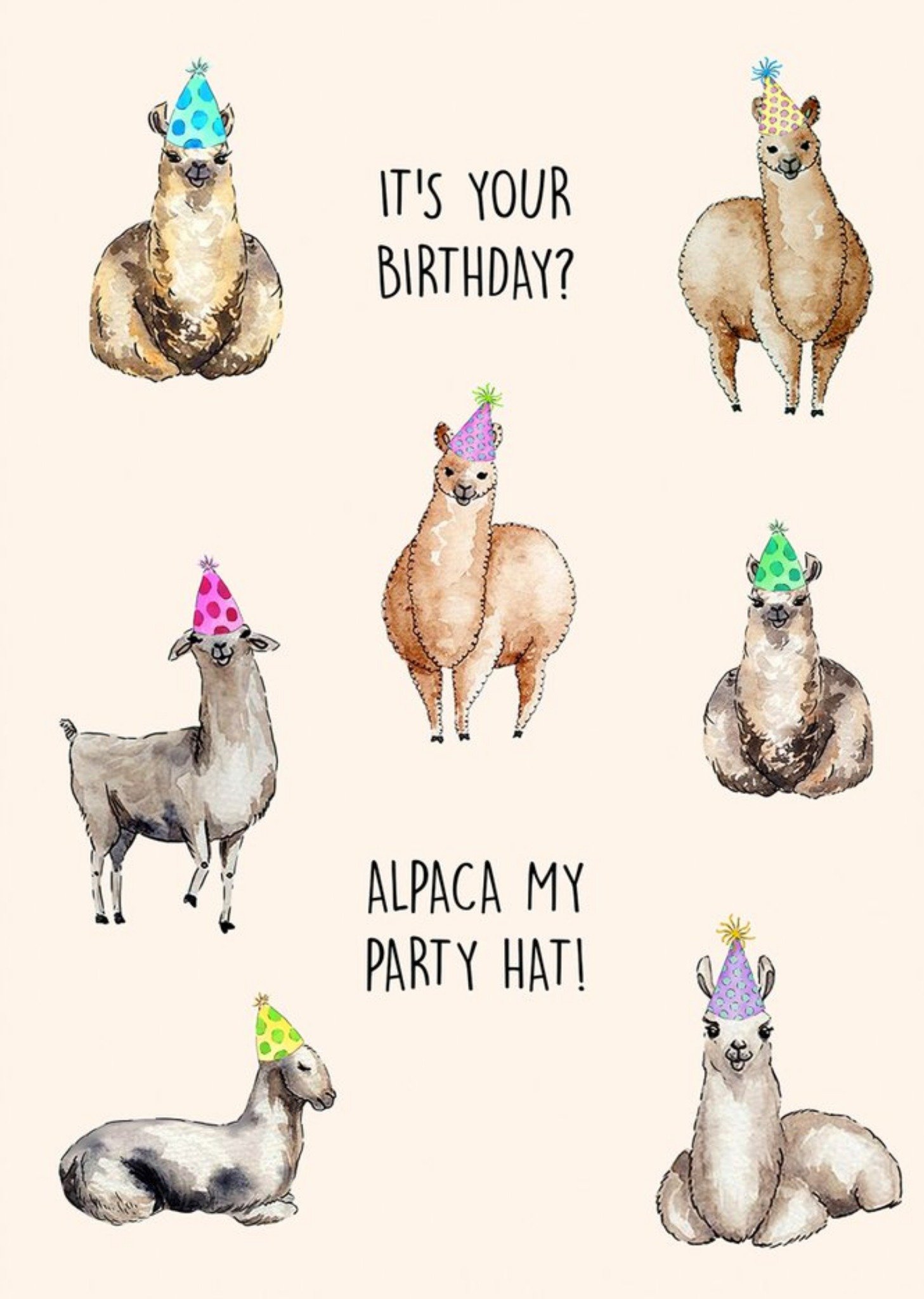 Moonpig Poppy And Mabel It's Your Birthday? Alpaca My Party Hat Birthday Card Ecard