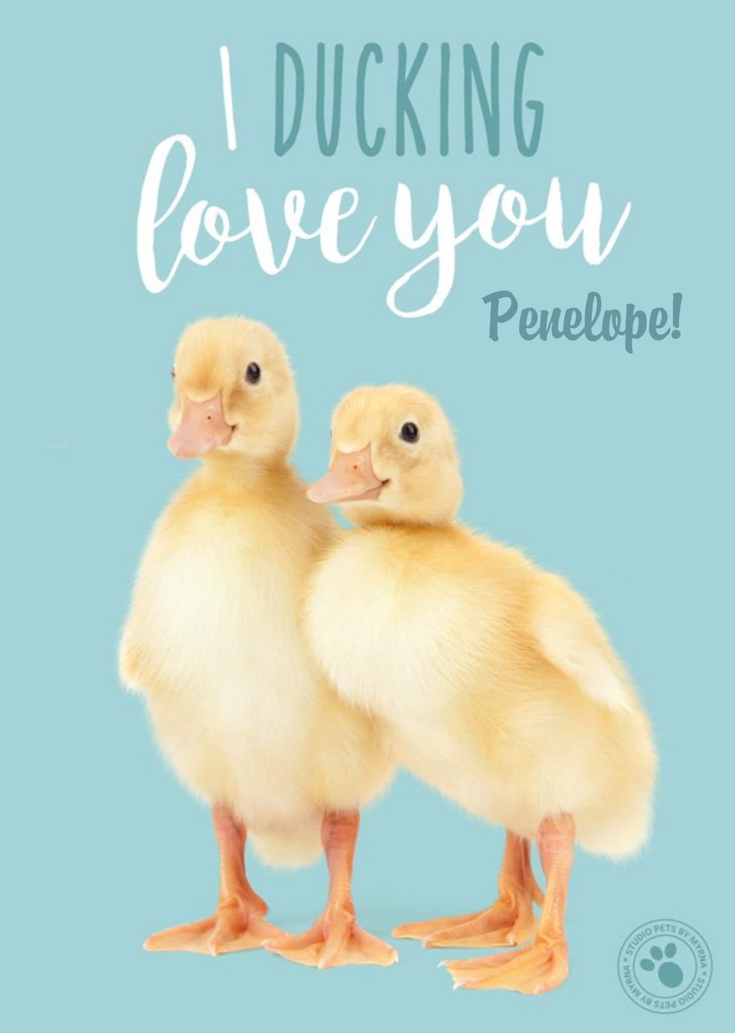 Studio Pets Ducking Love You Personalised Text Card Ecard