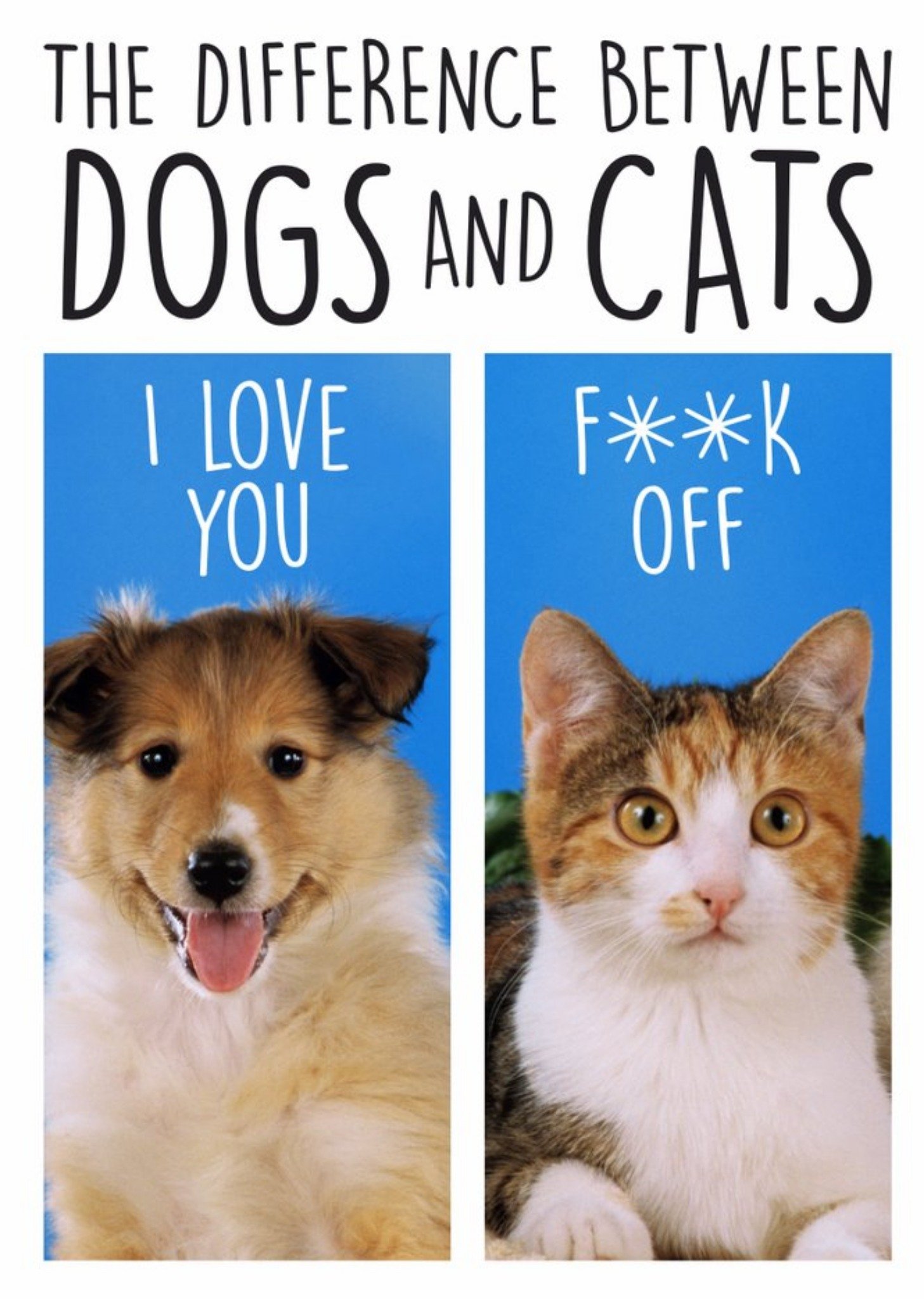 Moonpig The Difference Between Dogs And Cats Funny Card, Large