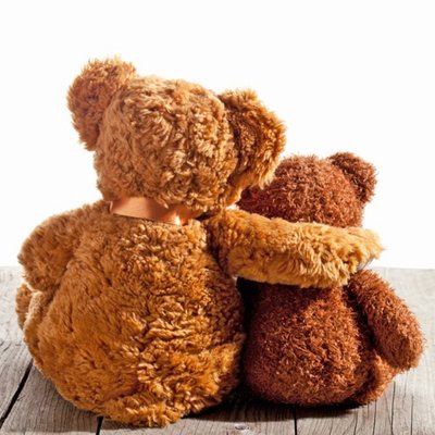 Photographic Hugging Teddy Bears Card