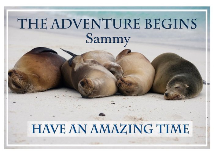 Alex Sharp Beach Seals Photographic Bon Voyage Travel Card