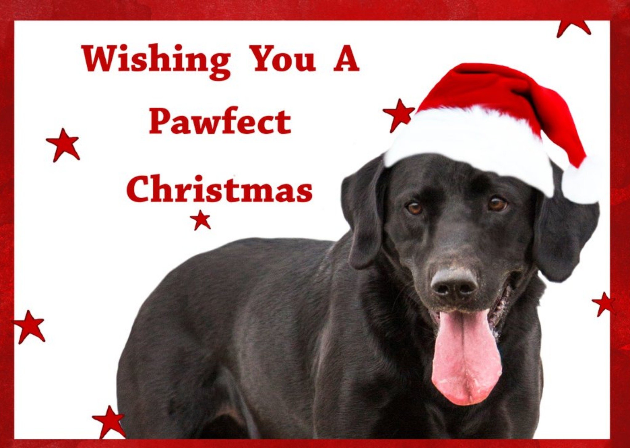 Photo Of Dog Wishing You A Pawfect Christmas Card