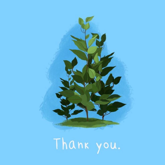 Tasia Plant Thank You Card