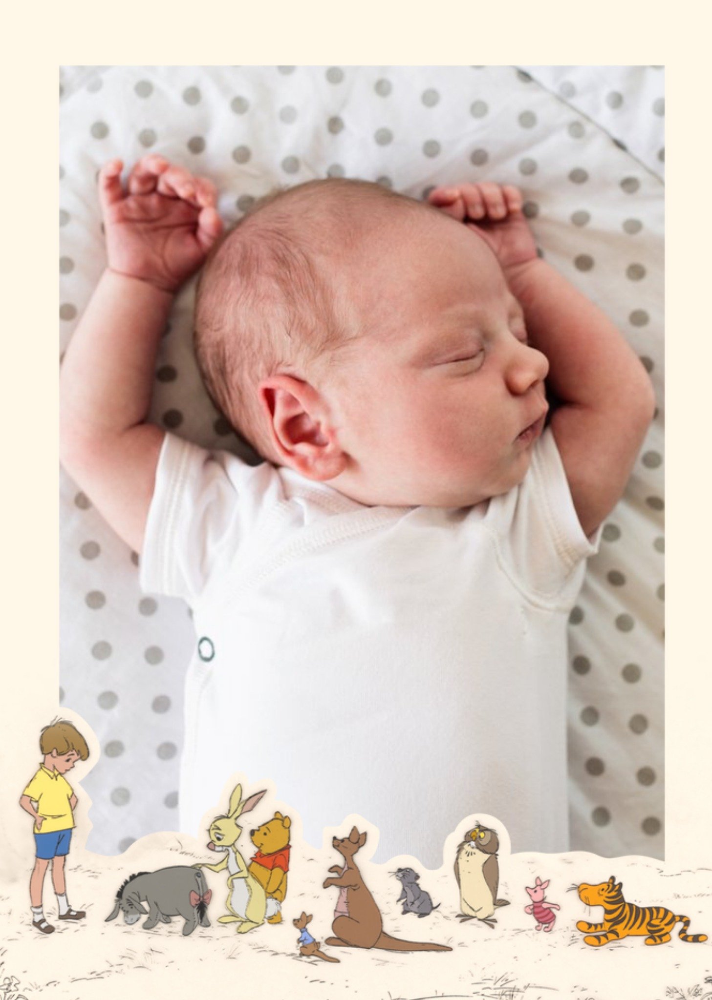 Disney Winnie The Pooh - New Baby Photo Upload Card Ecard