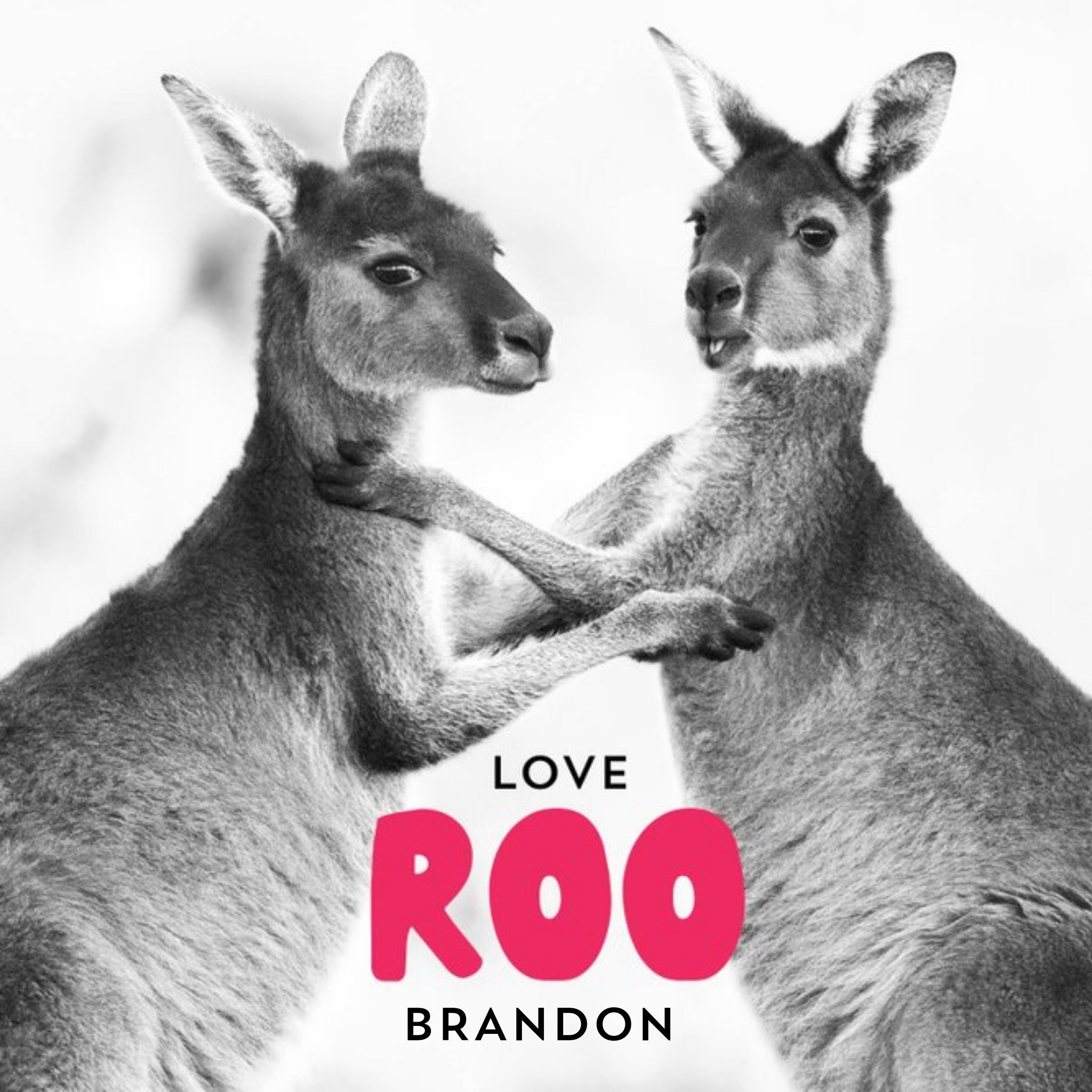 Moonpig Aperture Animals Cute Valentine's Day Love Australia Card, Large