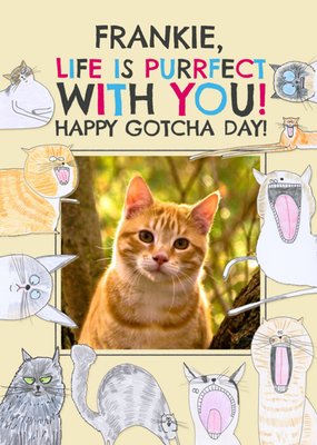 Quirky Illustrations Of Cats Photo Upload Happy Gotcha Day Card