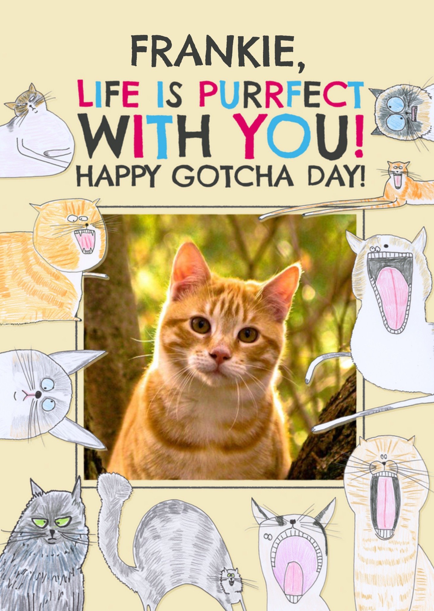 Hercule Van Wolfwinkle Quirky Illustrations Of Cats Photo Upload Happy Gotcha Day Card Ecard