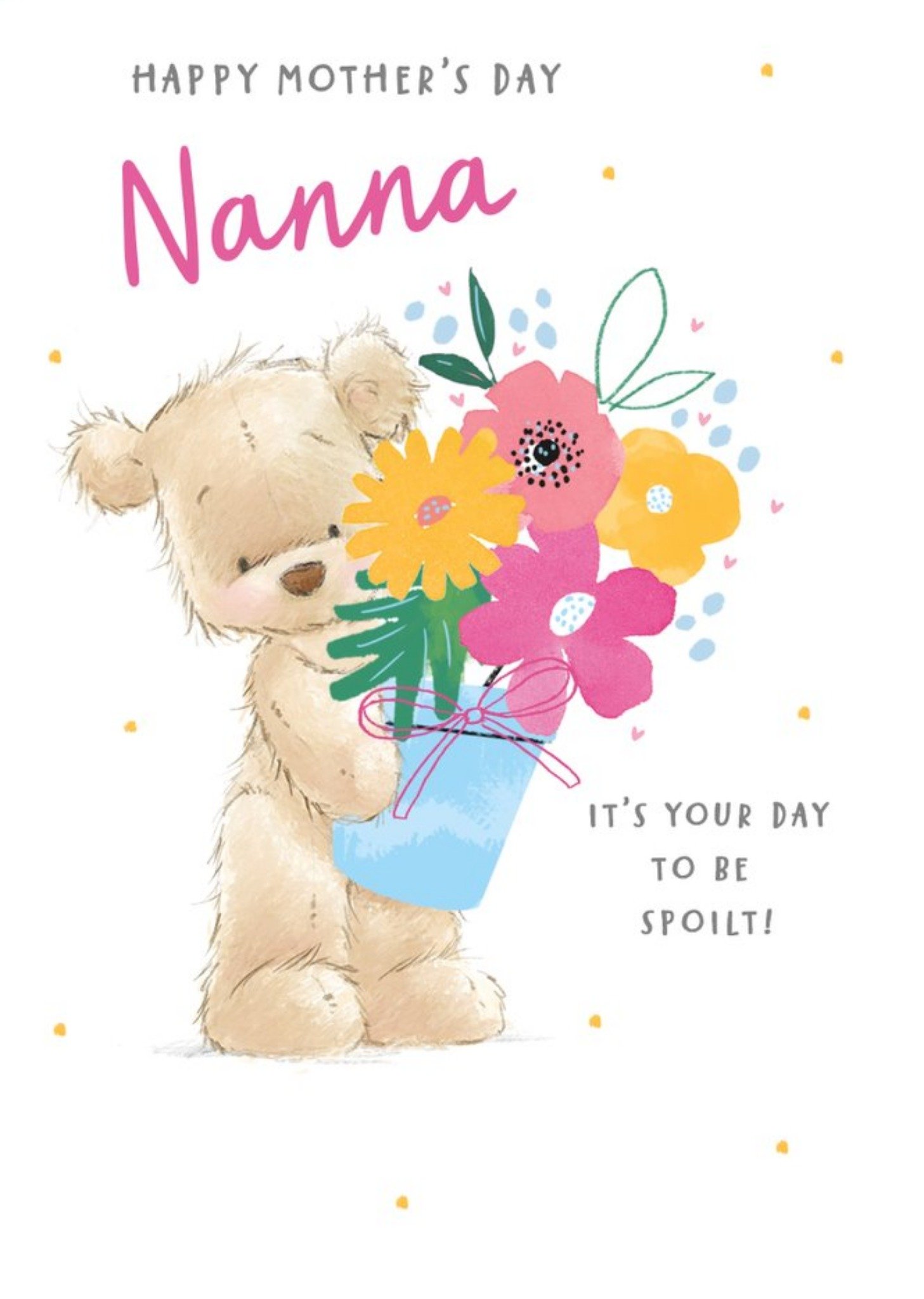 Illustrated Teddy Bear Holding Flower Pot Nanna Mothers Day Card