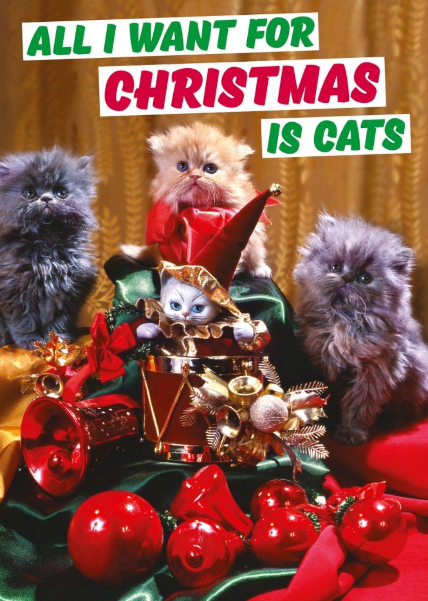 Moonpig Dean Morris All I Want For Christmas Is Cats Christmas Card, Large