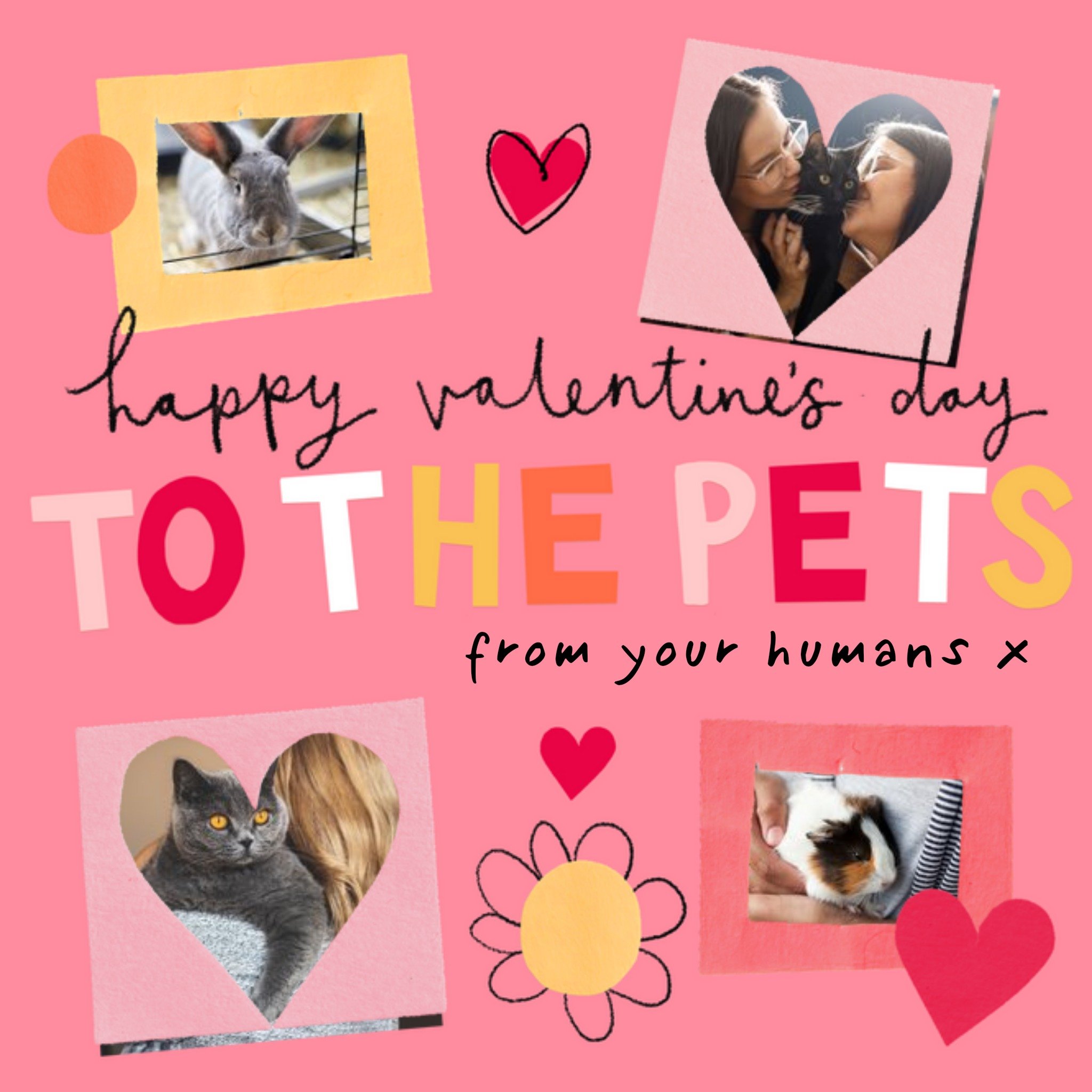 Moonpig Collage To The Pets Photo Upload Valentine's Day Card, Large