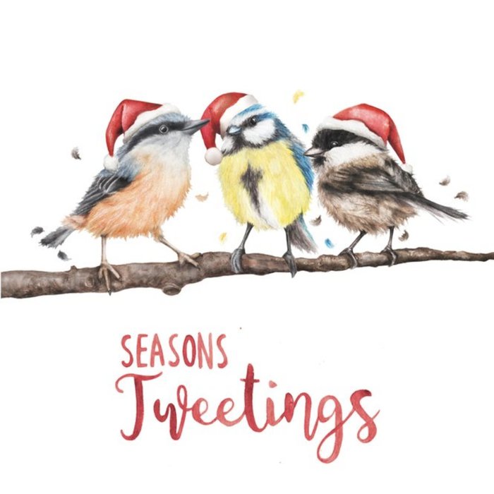 Seasons Tweetings Birds Pun Card