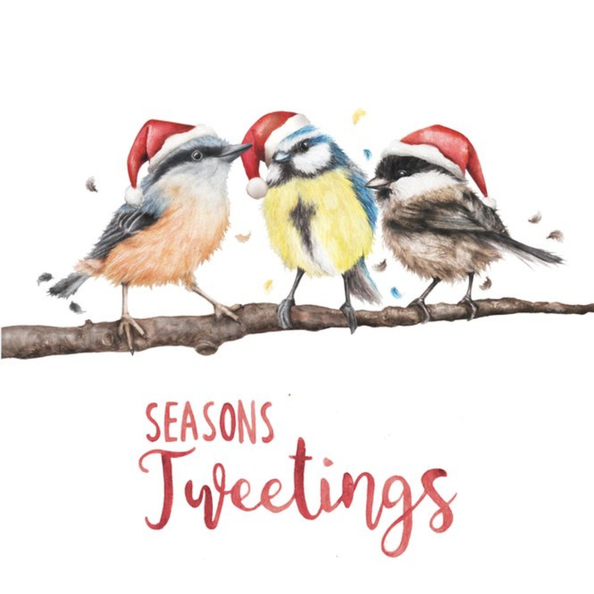 Seasons Tweetings Birds Pun Card, Square