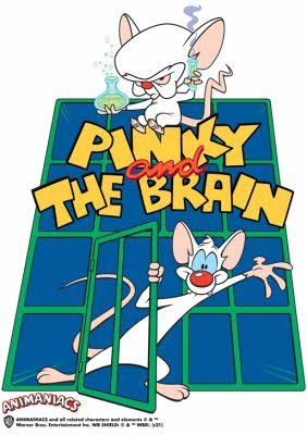 Animaniacs Pinky And The Brain T-shirt