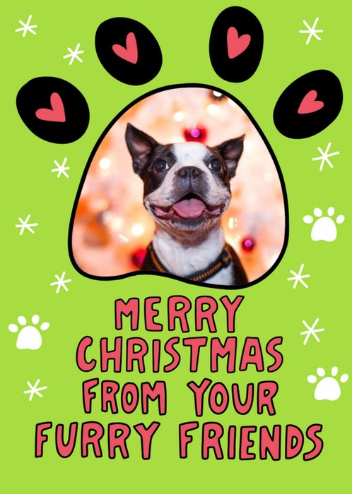 Merry Christmas From Your Furry Friends Photo Upload Card