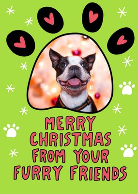 Spreading Holiday Cheer with Custom Dog Christmas Cards