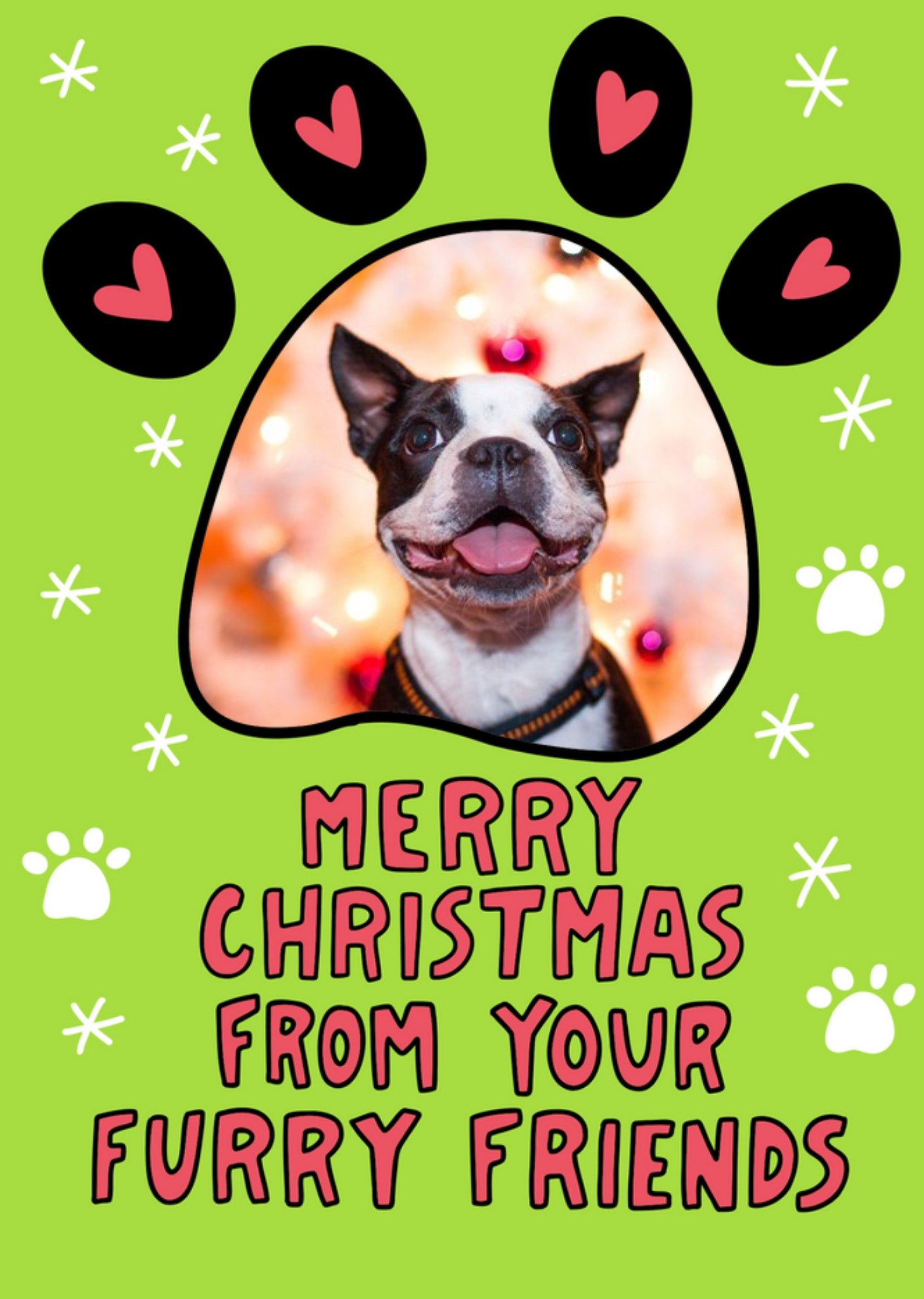 Moonpig Merry Christmas From Your Furry Friends Photo Upload Card Ecard