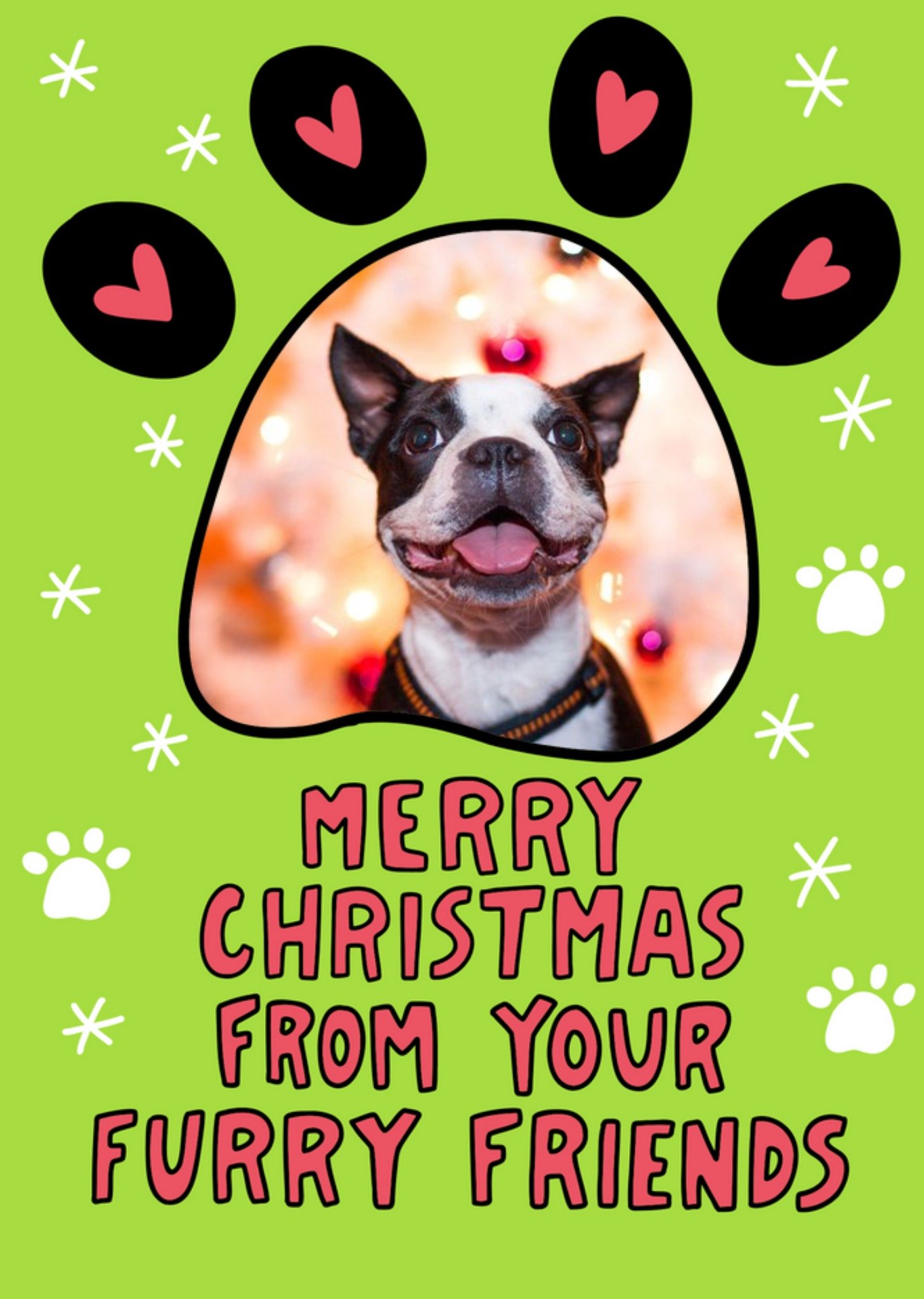 Merry Christmas From Your Furry Friends Photo Upload Card Ecard