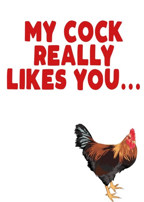 My Cock Really Likes You Card