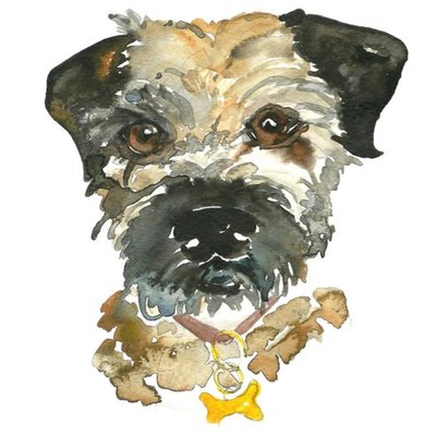 Illustrated Watercolour Border Terrier Dog Just A Note Card
