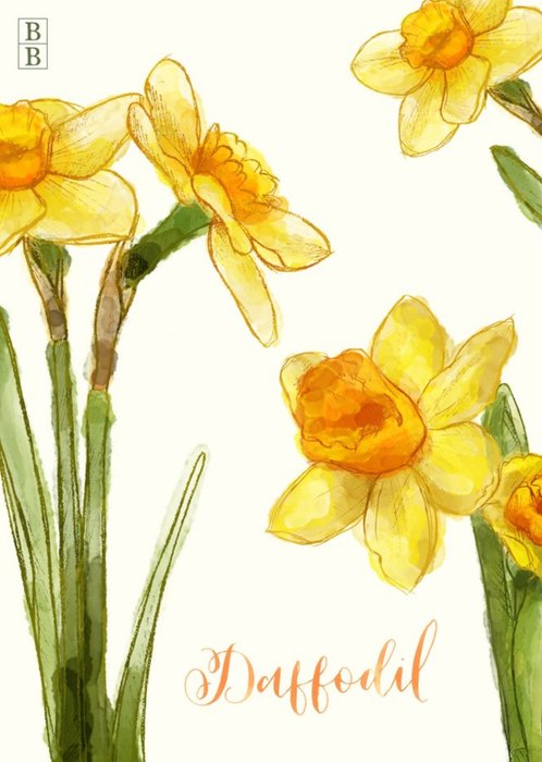 Bright Yellow Daffodil Flowers Postcard