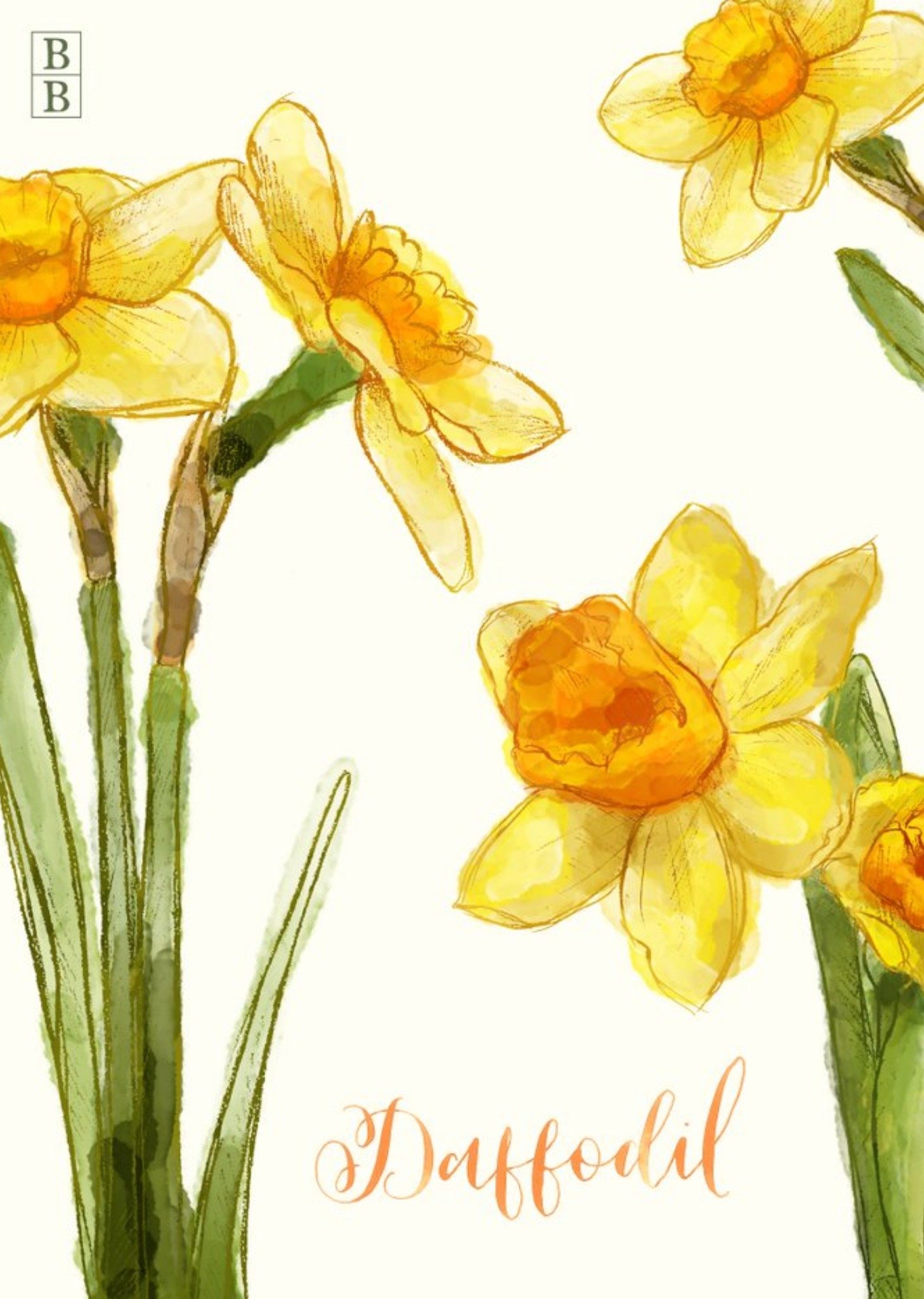 Moonpig Bright Yellow Daffodil Flowers Postcard