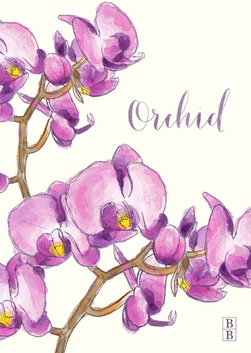 Pretty Purple Orchid Flowers Postcard