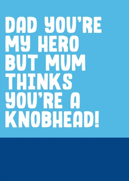 Funny Rude Dad You're My Hero Father's Day Card
