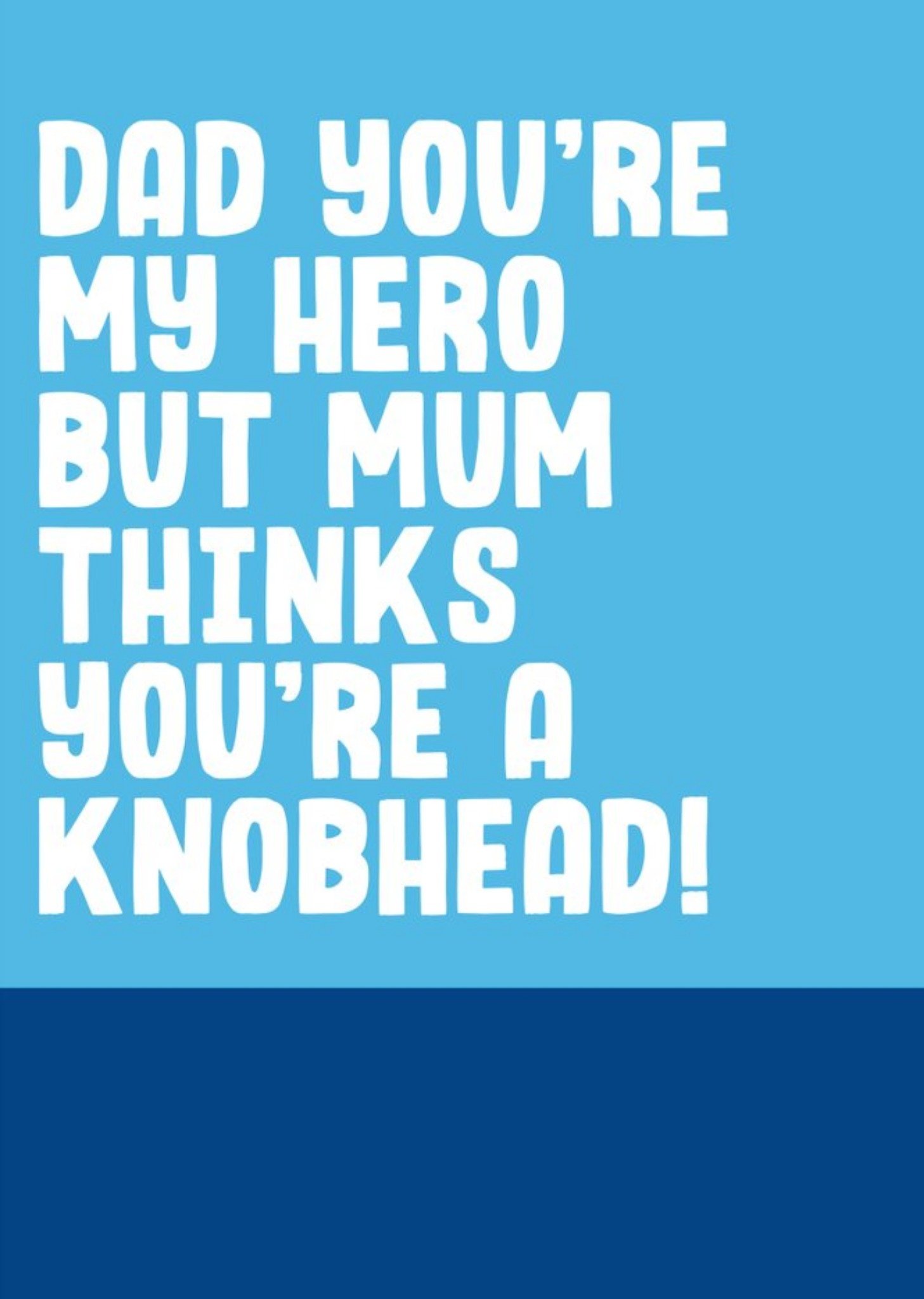 Filthy Sentiments Funny Rude Dad You're My Hero Father's Day Card, Large