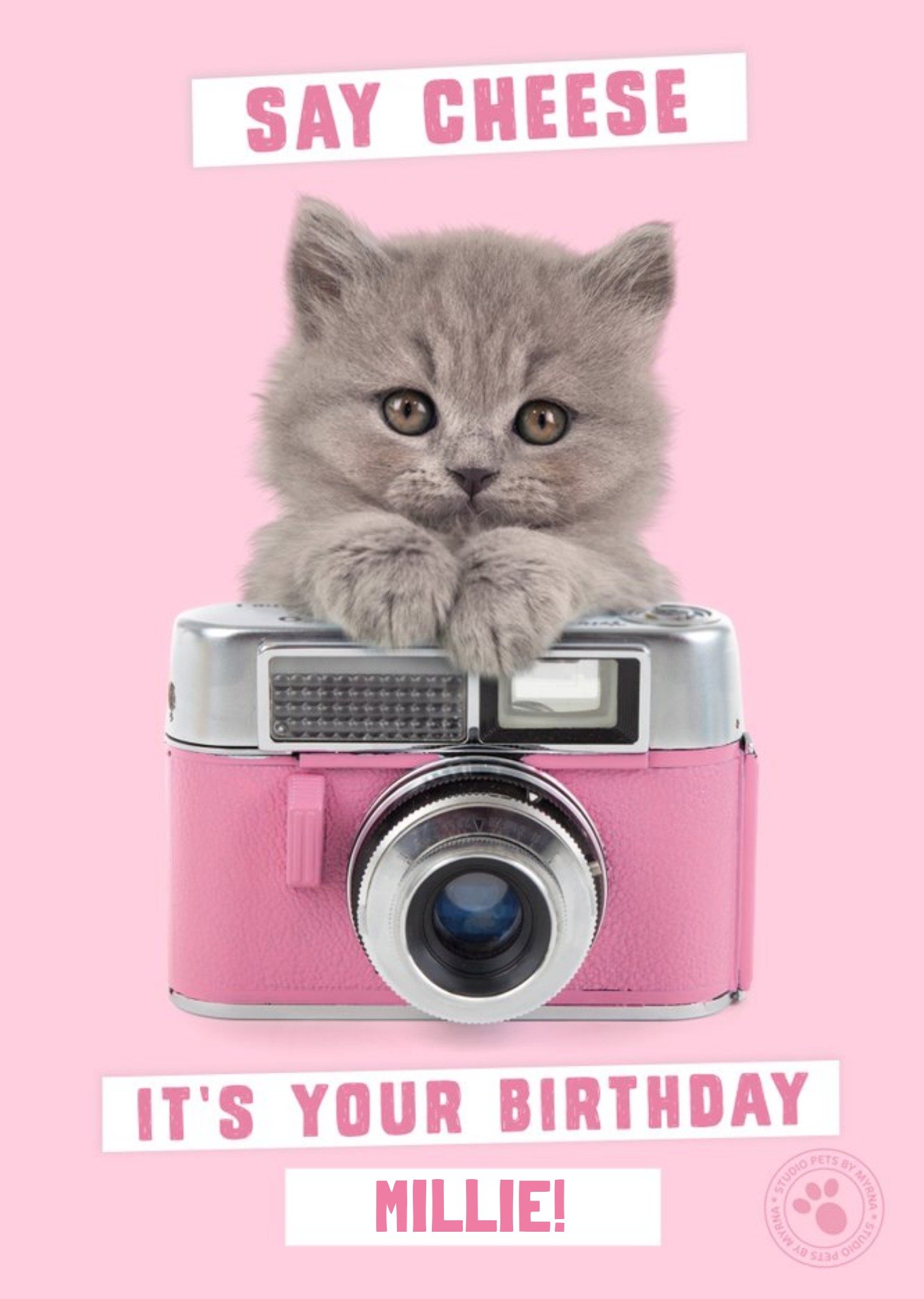Studio Pets Little Kitten Holding Vintage Camera - Personalised Birthday Card Ecard