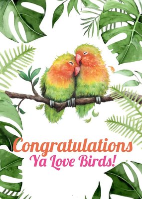 Illustration Of A Pair Of Love Birds Surrounded By Foliage Anniversary Card