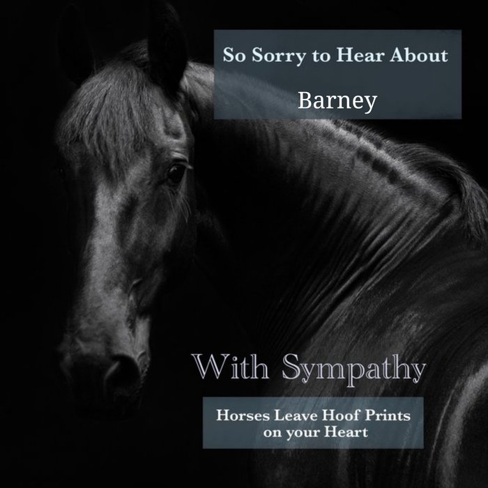 Alex Sharp Photogrpahy Horse Sympathy Card