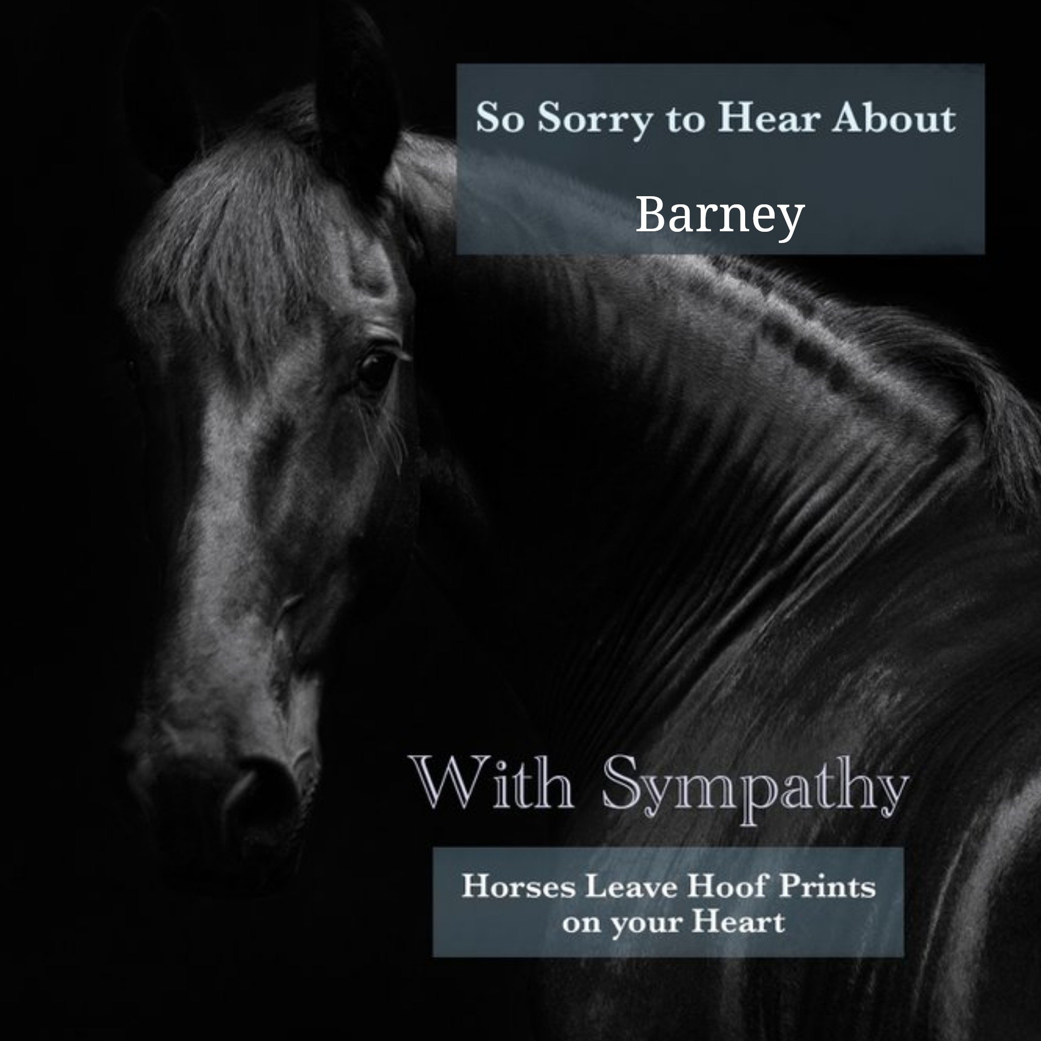 Moonpig Alex Sharp Photogrpahy Horse Sympathy Card, Square