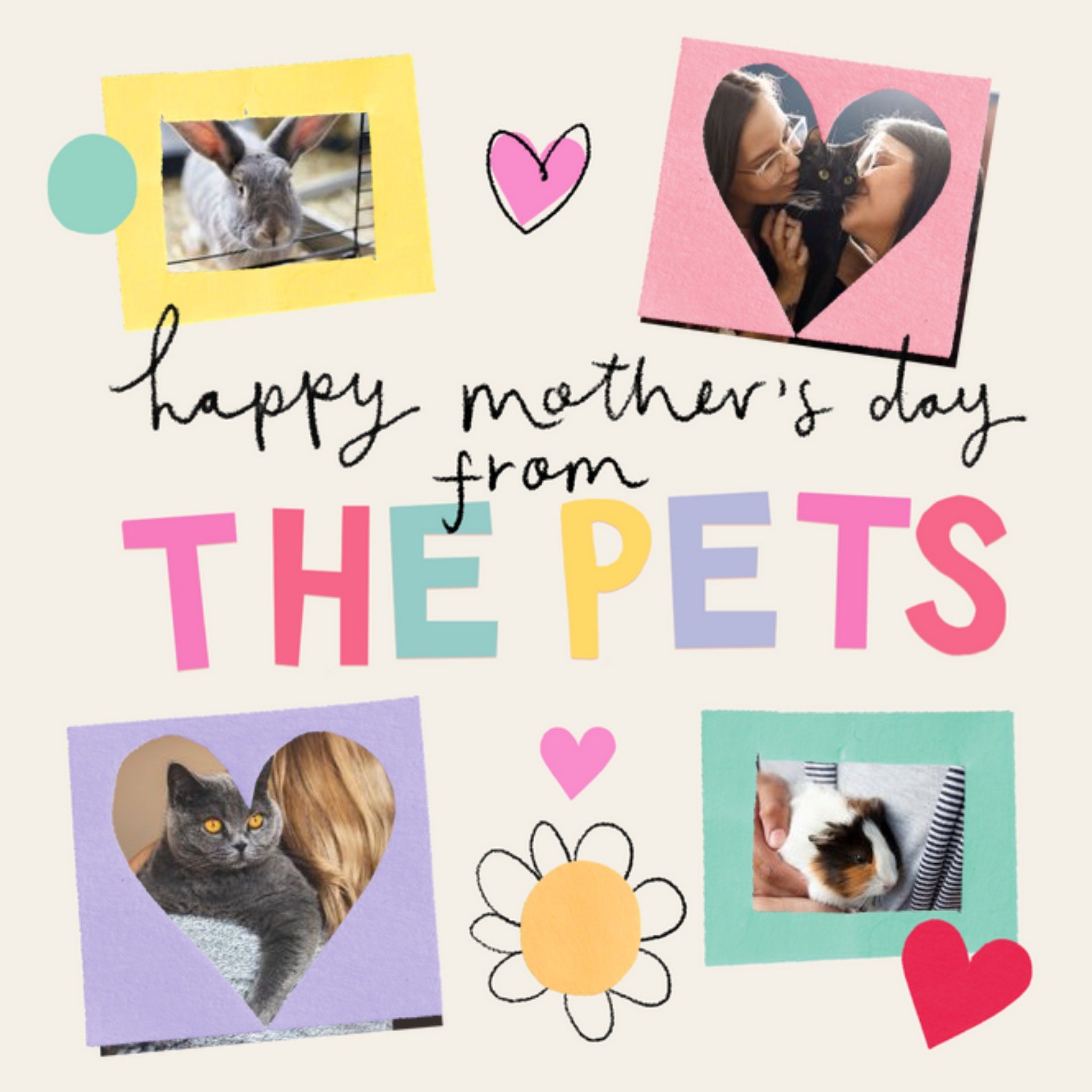 Multi Photo Upload Mother's Day From The Pets Card, Square