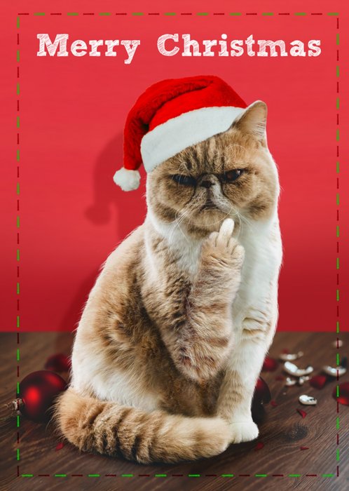 Rude Swearing Cat Christmas Card