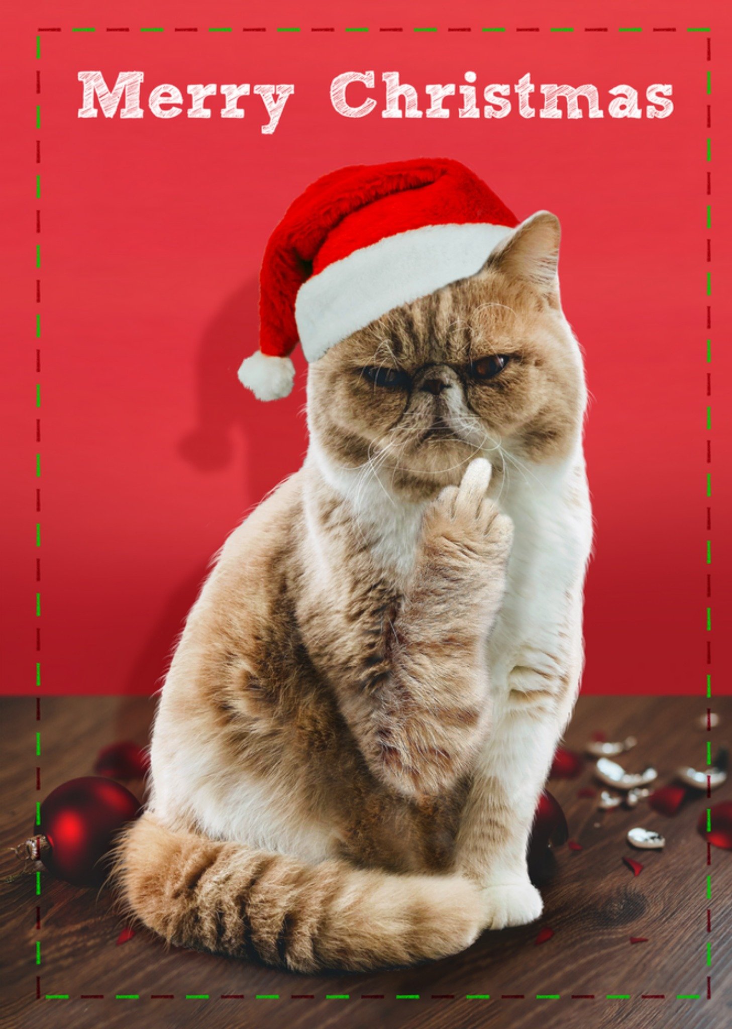Moonpig Rude Swearing Cat Christmas Card, Large